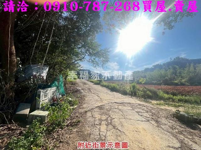 台南關廟農地-9