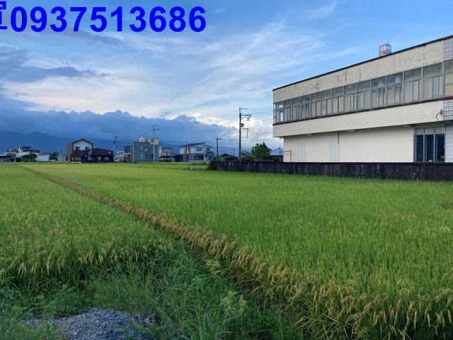 宜蘭壯圍農地-5