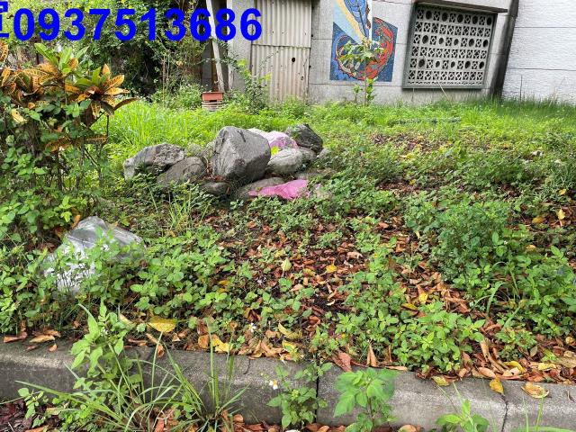 宜蘭宜蘭市建地-6