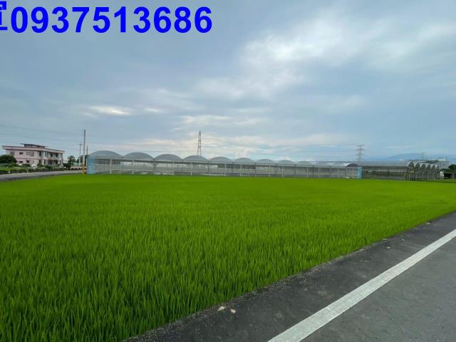 三星農地-15