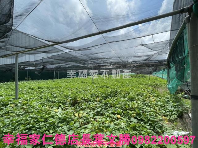 台南保護區-5