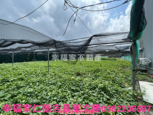 台南保護區-9