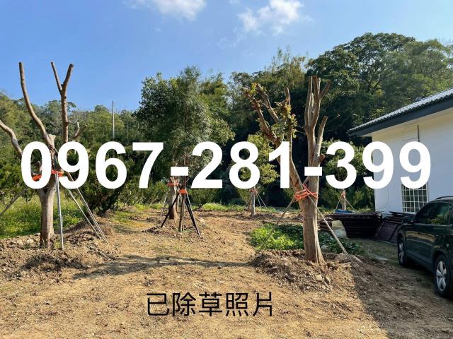頭份農地-10