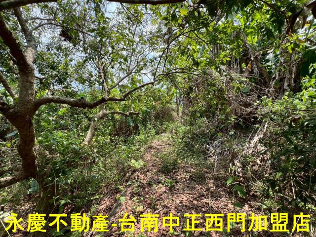 台南東山農地-10