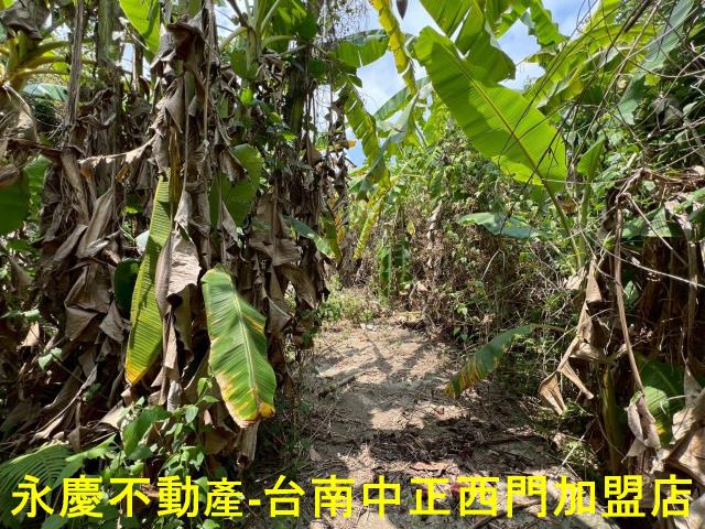 台南東山農地-11