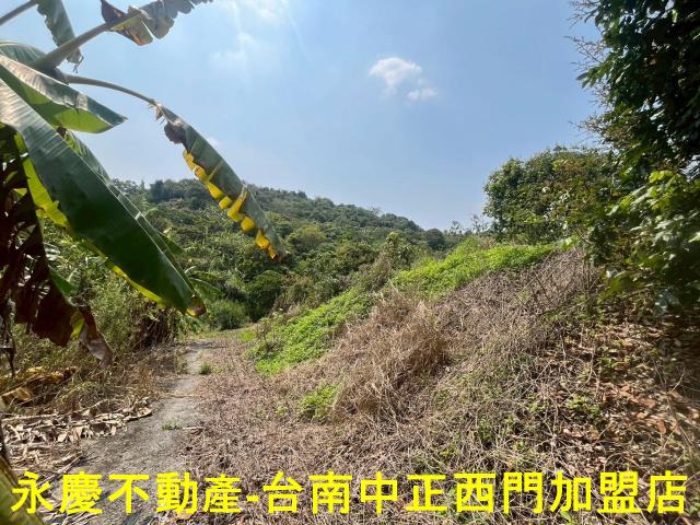 台南東山農地-3