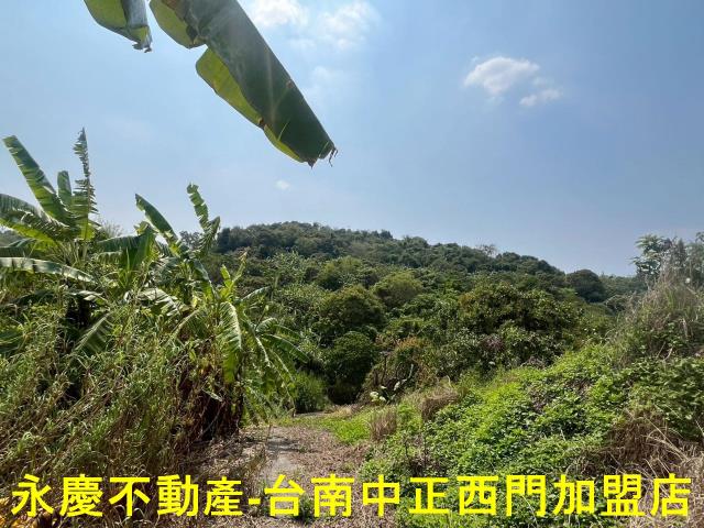 台南東山農地-4