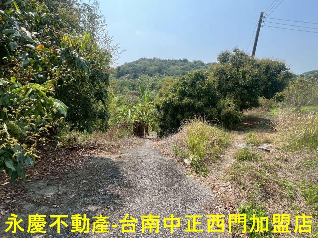 台南東山農地-6