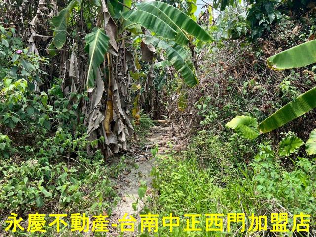 台南東山農地-7