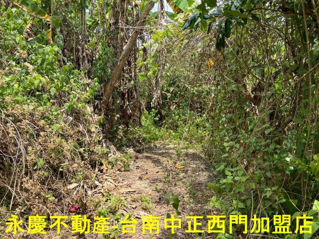 台南東山農地-9