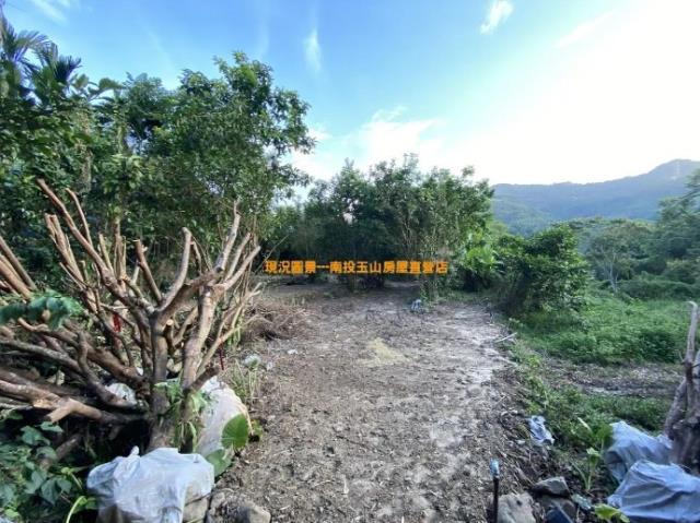 鹿谷農地-1