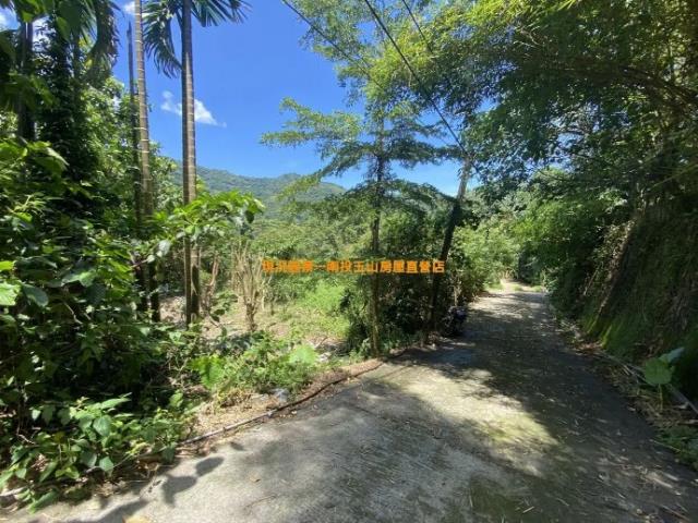 鹿谷農地-3