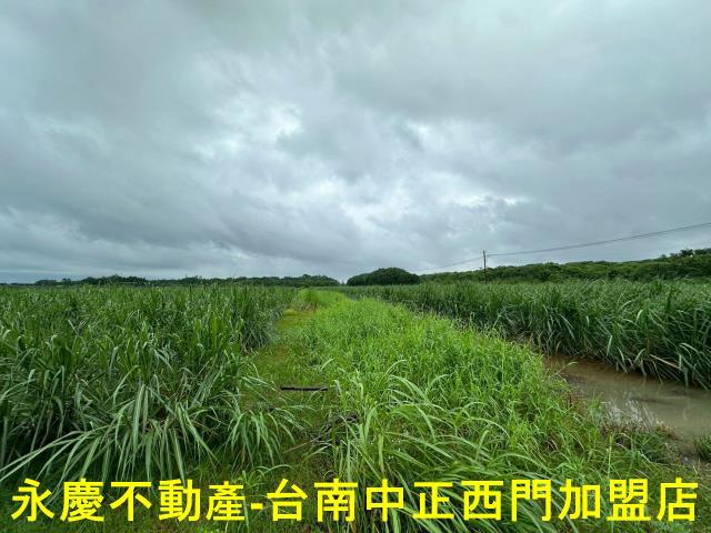 山上農地-7