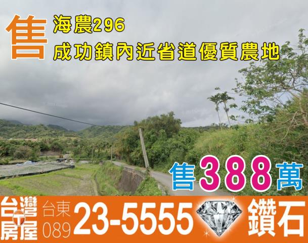 台東農地-1