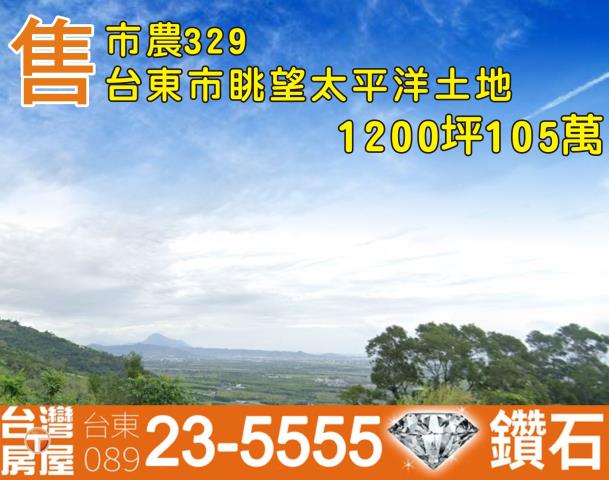 台東農地-1