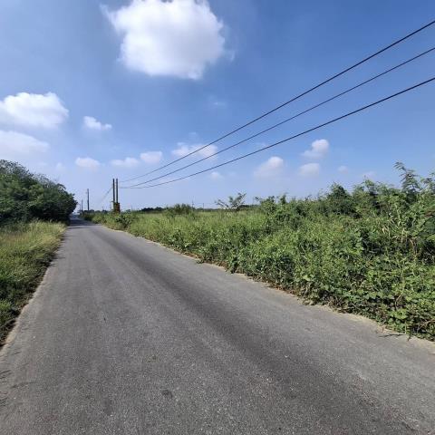 台南新市農地-8