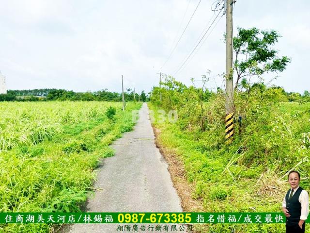 台南安定農地-5