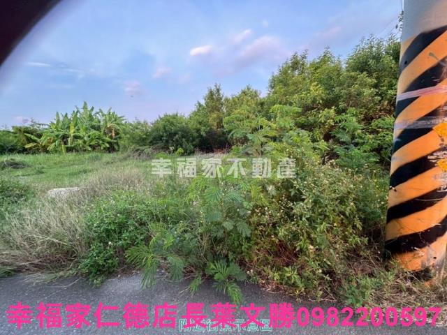 安南農地-5