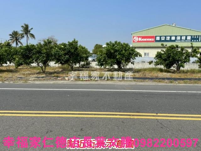 麻豆農地-10