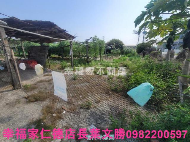 台南仁德農地-1