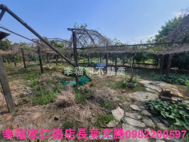 台南仁德農地-10