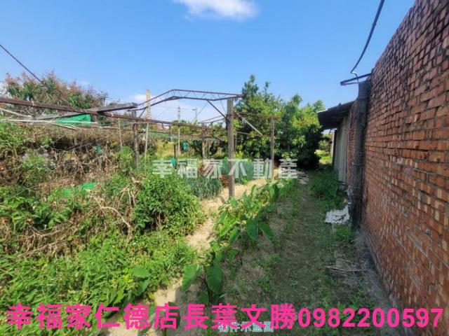 台南仁德農地-14