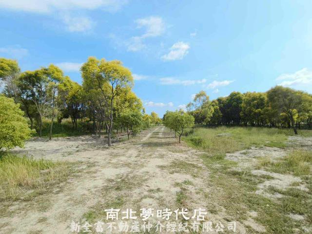 六甲農地-3