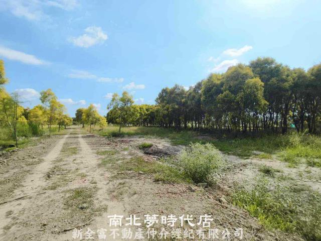 六甲農地-4