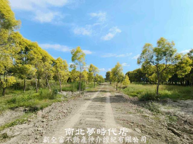 六甲農地-5