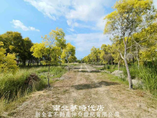 六甲農地-6