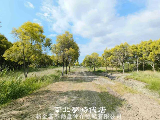 六甲農地-9