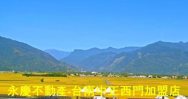 池上農地-11