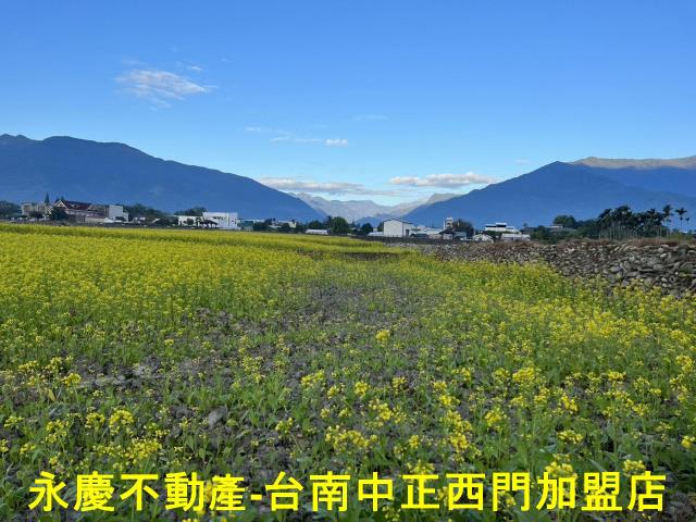 池上農地-14