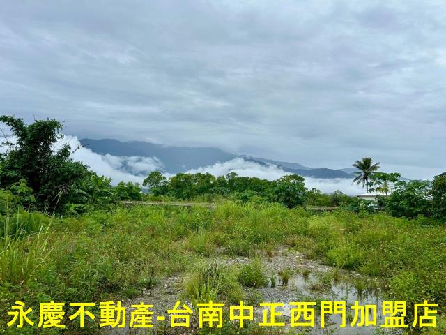 池上農地-5