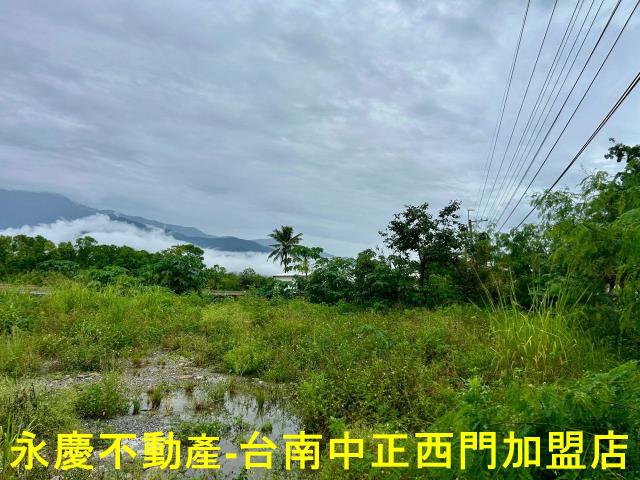 池上農地-6