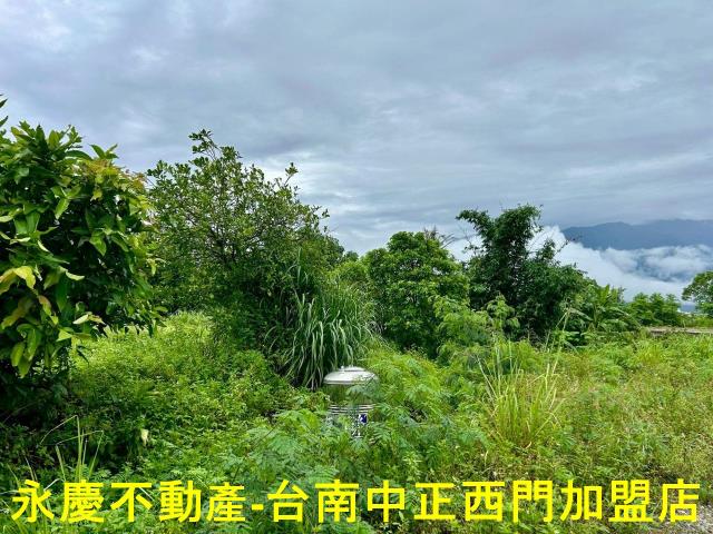 池上農地-7