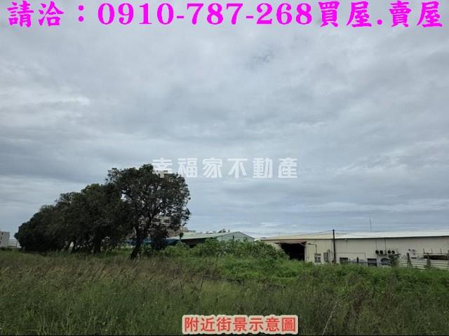 仁德農地-10