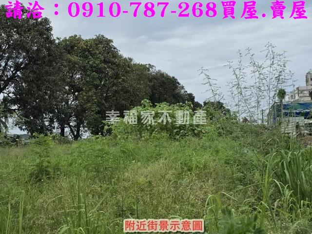 仁德農地-11