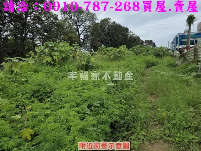 仁德農地-12