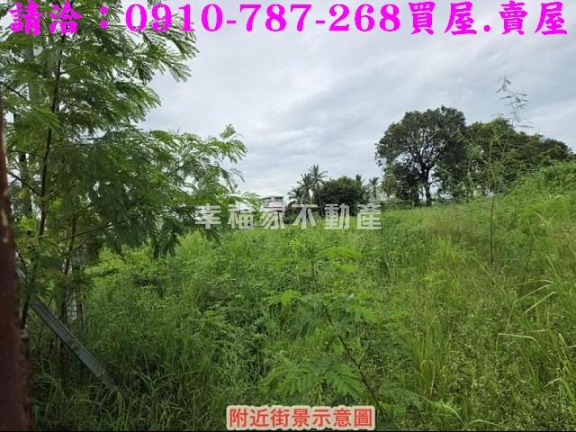 仁德農地-13