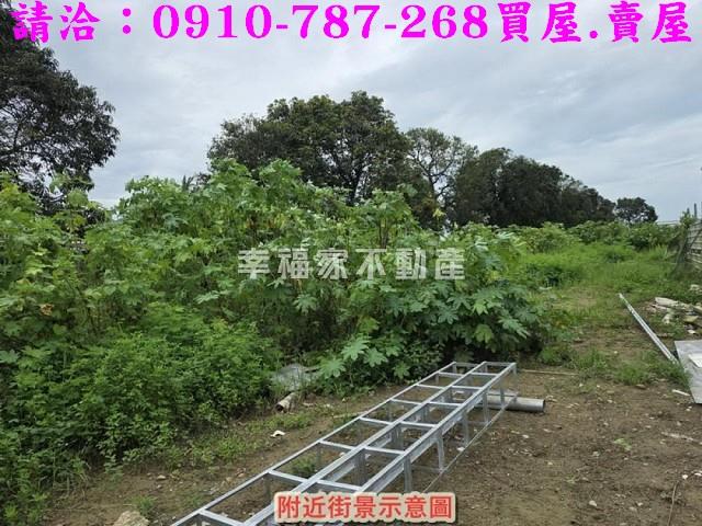 仁德農地-3