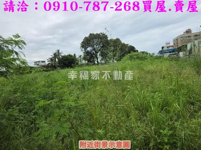 仁德農地-4