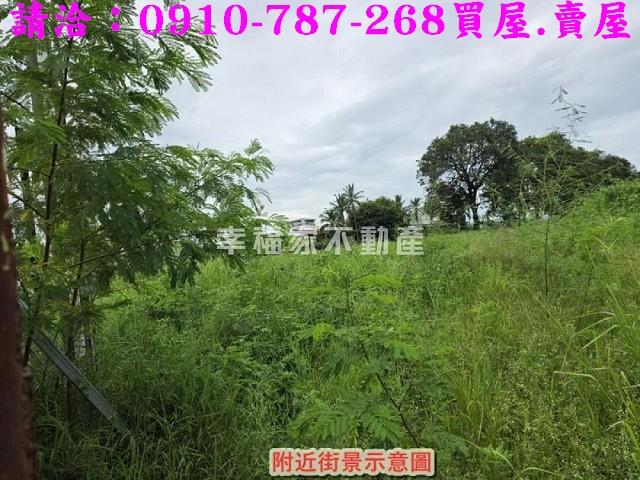 仁德農地-6