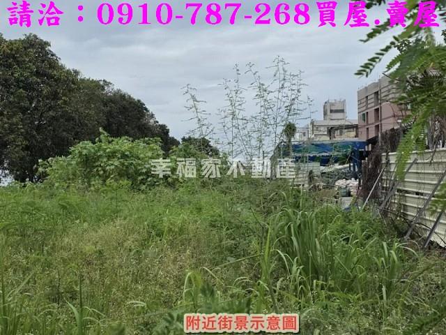 仁德農地-9