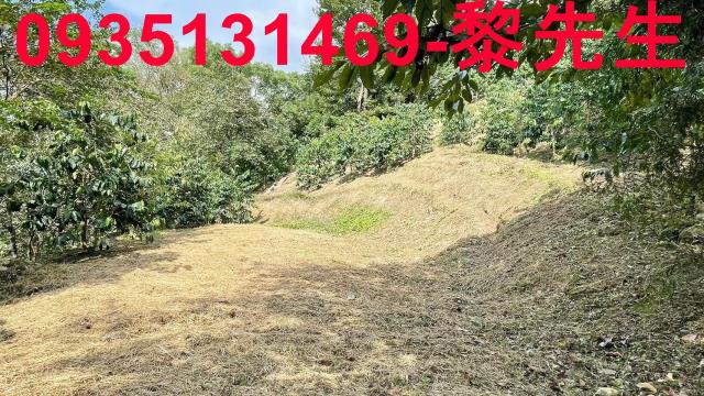 新竹林地-15