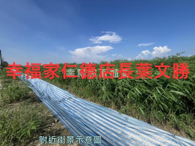 台南善化農地-11