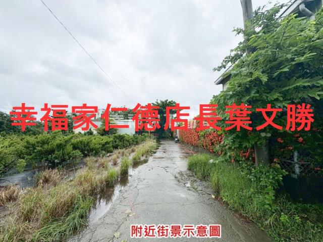 台南仁德農地-3