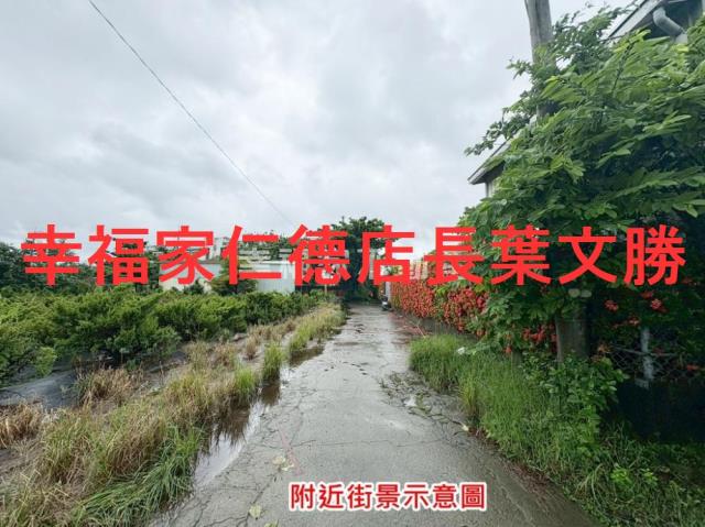 台南仁德農地-9