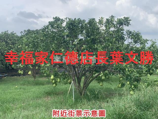 台南麻豆農地-6