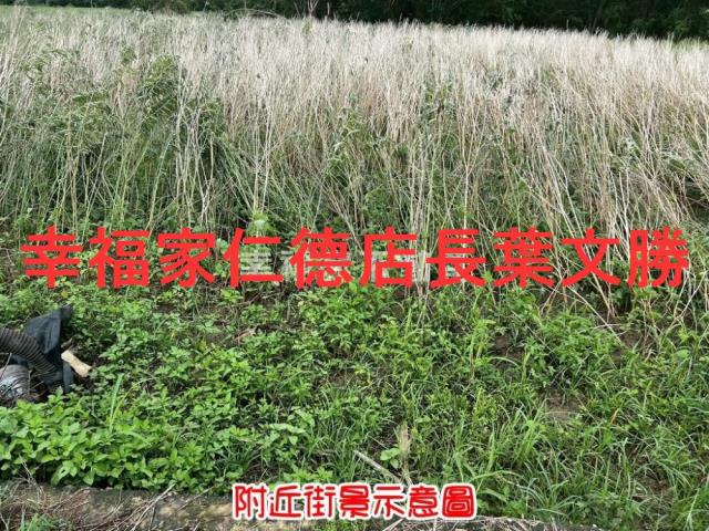 新市農地-10